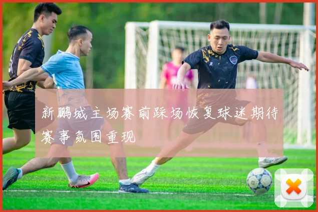 新鹏城主场赛前踩场恢复球迷期待赛事氛围重现